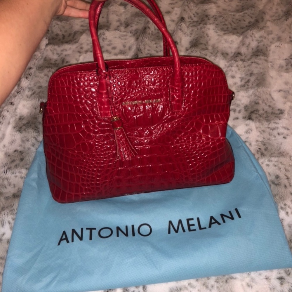 Antonio Melani Purse